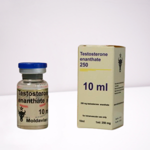 Testosterone Enanthate 250 mg Moldavian Pharma