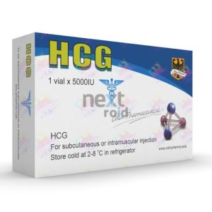 Hcg 5000 – Odin Pharma